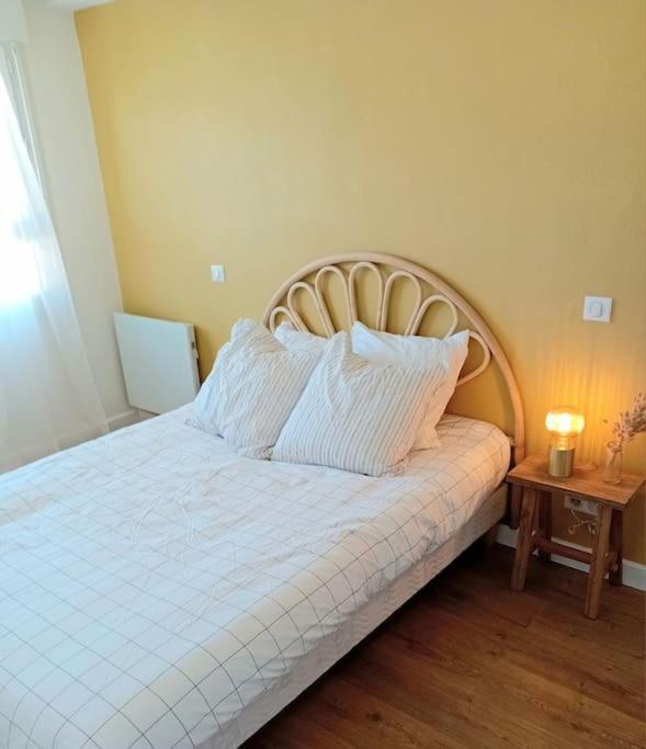 Lumineux Et Cosy F3 Vue